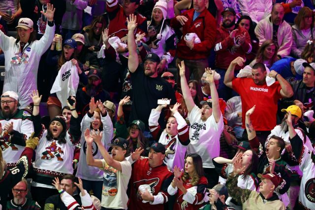 Arizona Coyotes