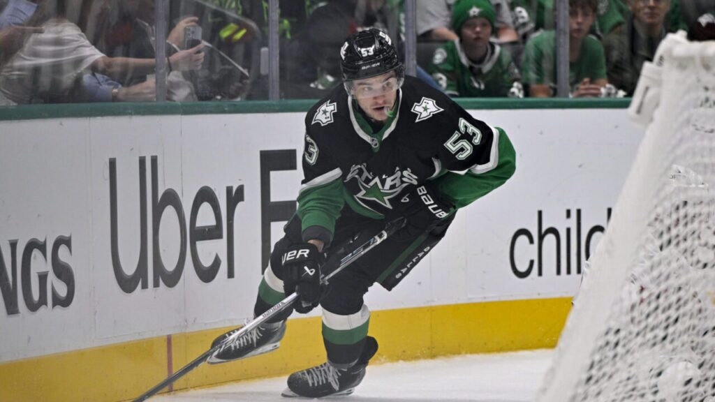 Dallas Stars
Central Division