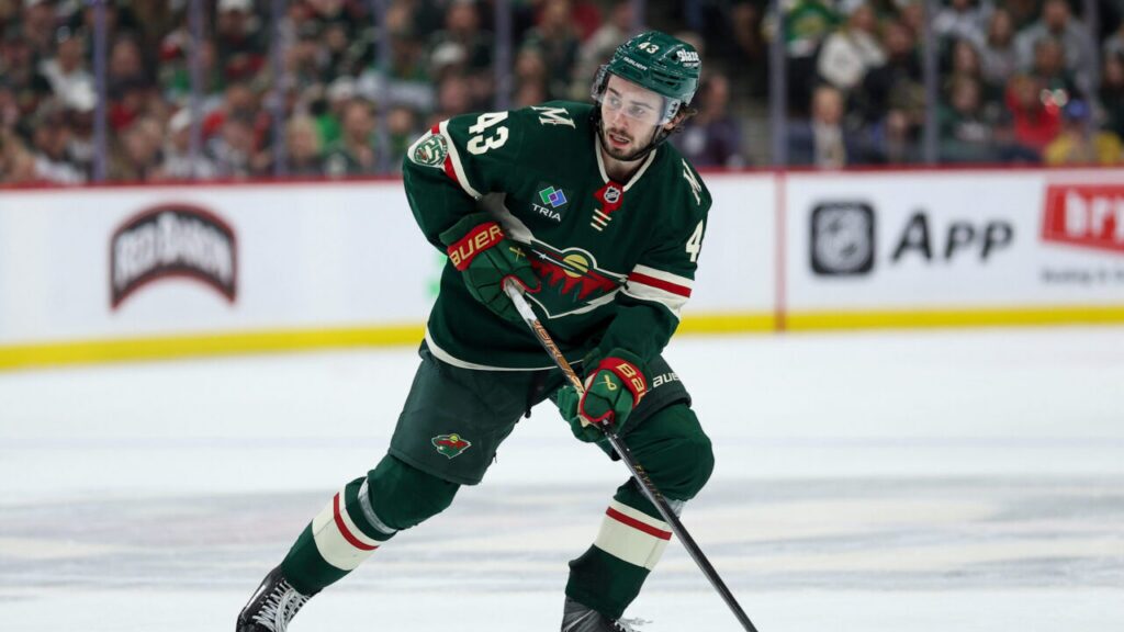 Minnesota Wild
Central Division