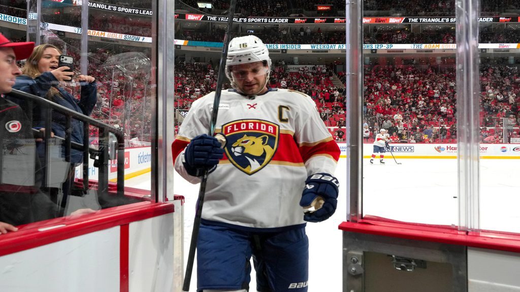 florida panthers