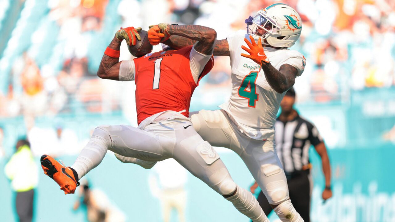 Miami Dolphins