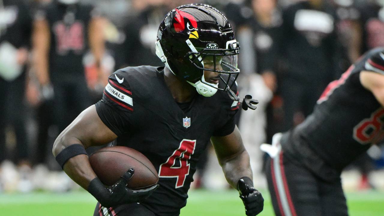 Arizona Cardinals vs. Lions