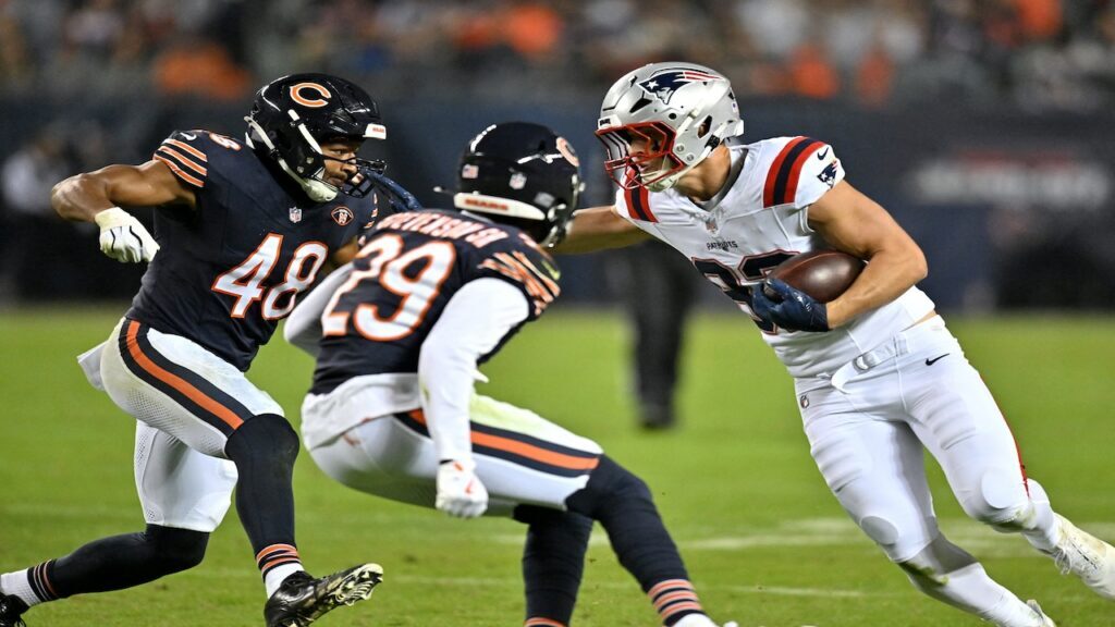 Bears