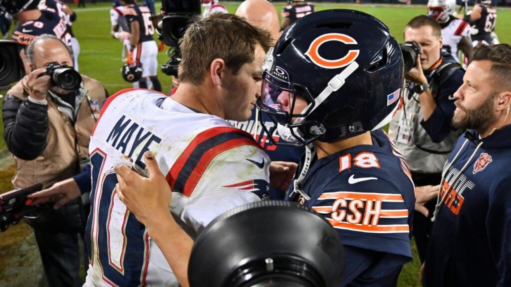 Bears
