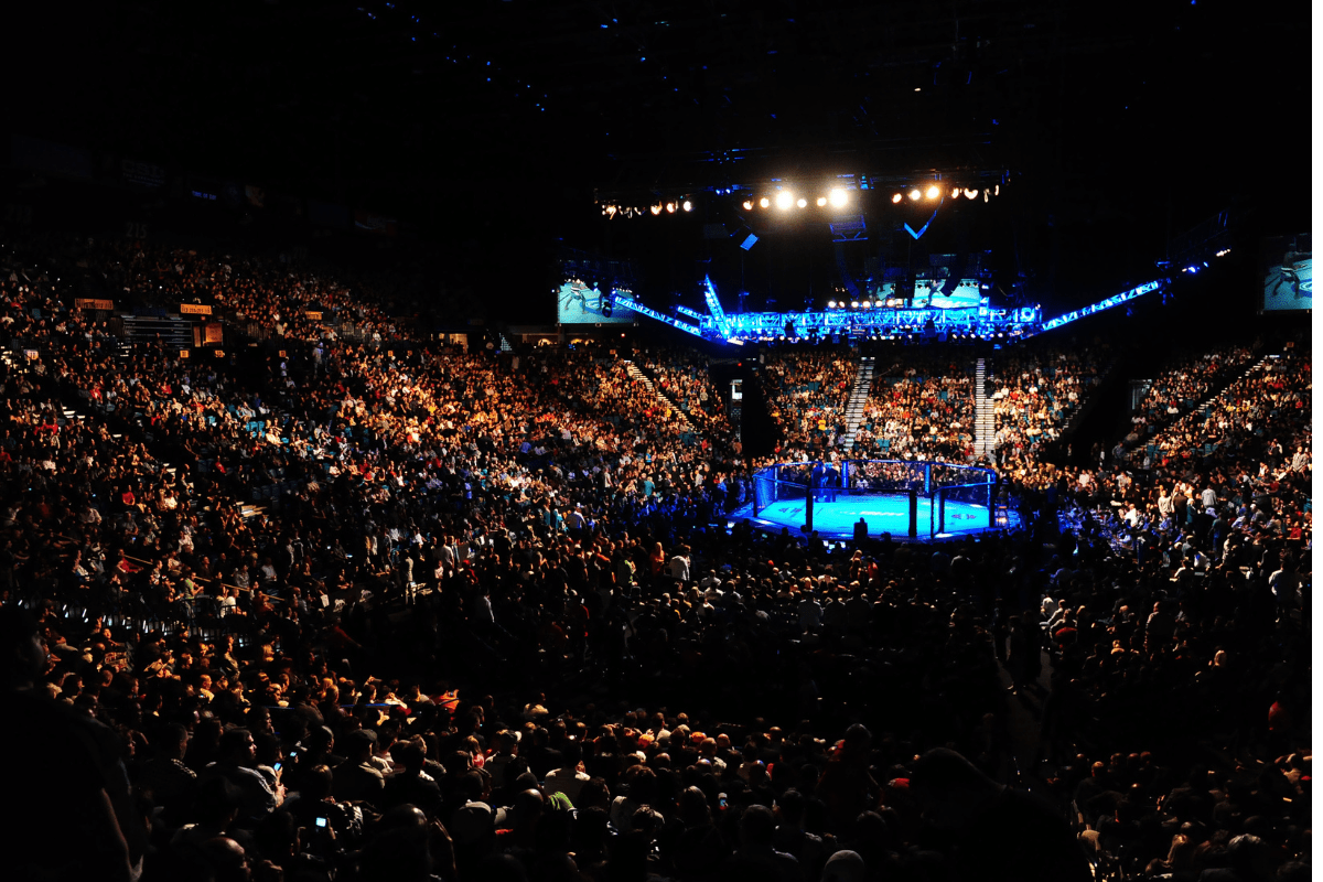 Dec 30, 2011; Las Vegas, NV, USA; Overall view of the octagon ring during UFC 141 at the MGM Grand Garden event center in Las Vegas. Mandatory Credit: Mark J. Rebilas-USA TODAY Sports
