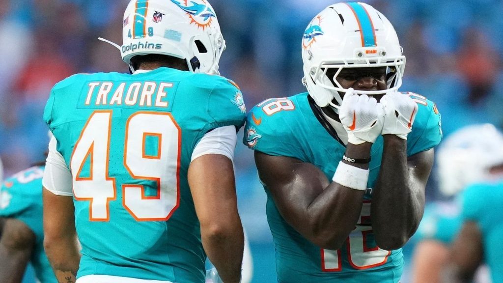 Miami Dolphins WR Chris Bell
