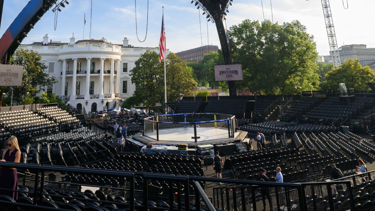 UFC cage