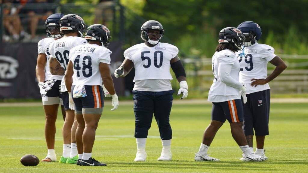 2026 Chicago Bears
