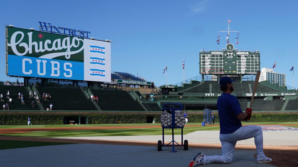 Cubs