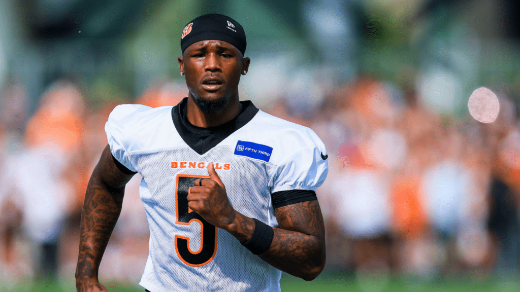 Former Clemson Players in Fantasy Football | Tee Higgins