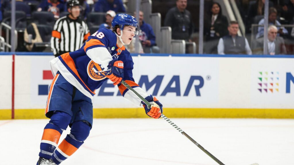 New York Islanders
Metropolitan Division