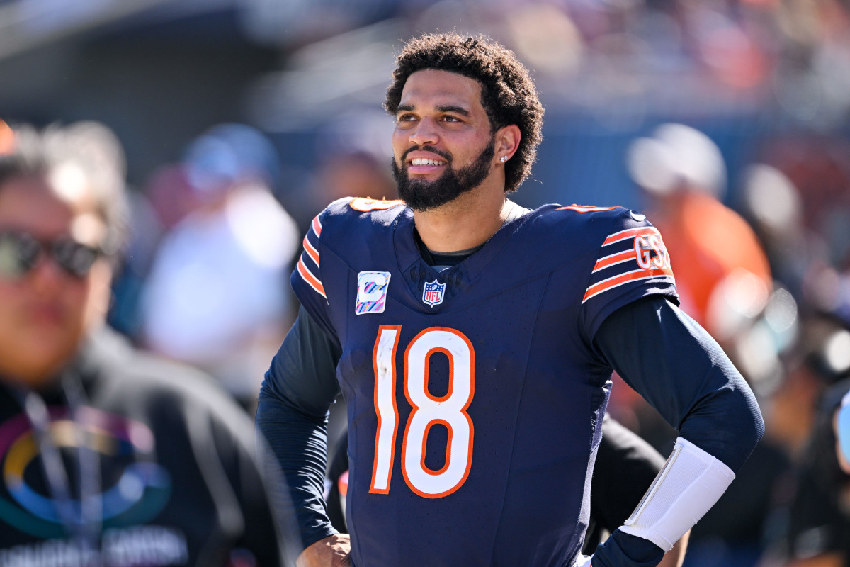 Bears