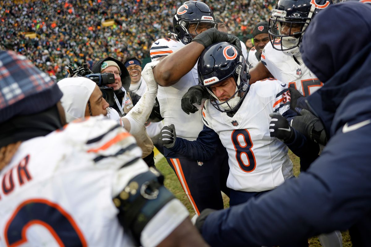 Bears