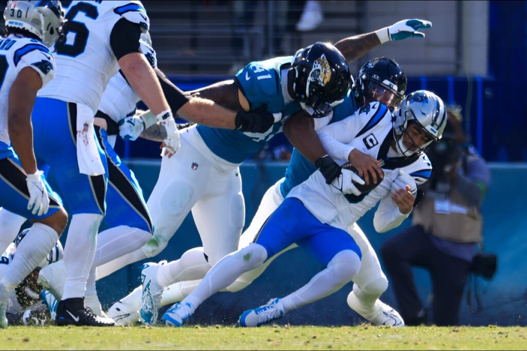 Panthers