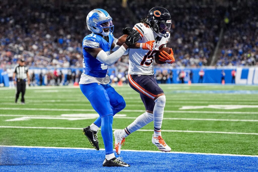 Bears