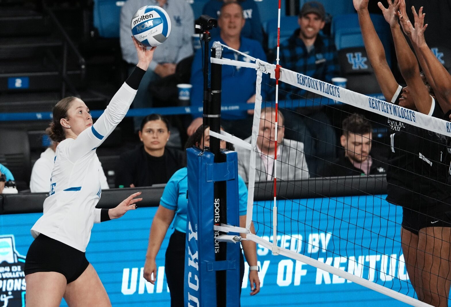 Kentucky Volleyball