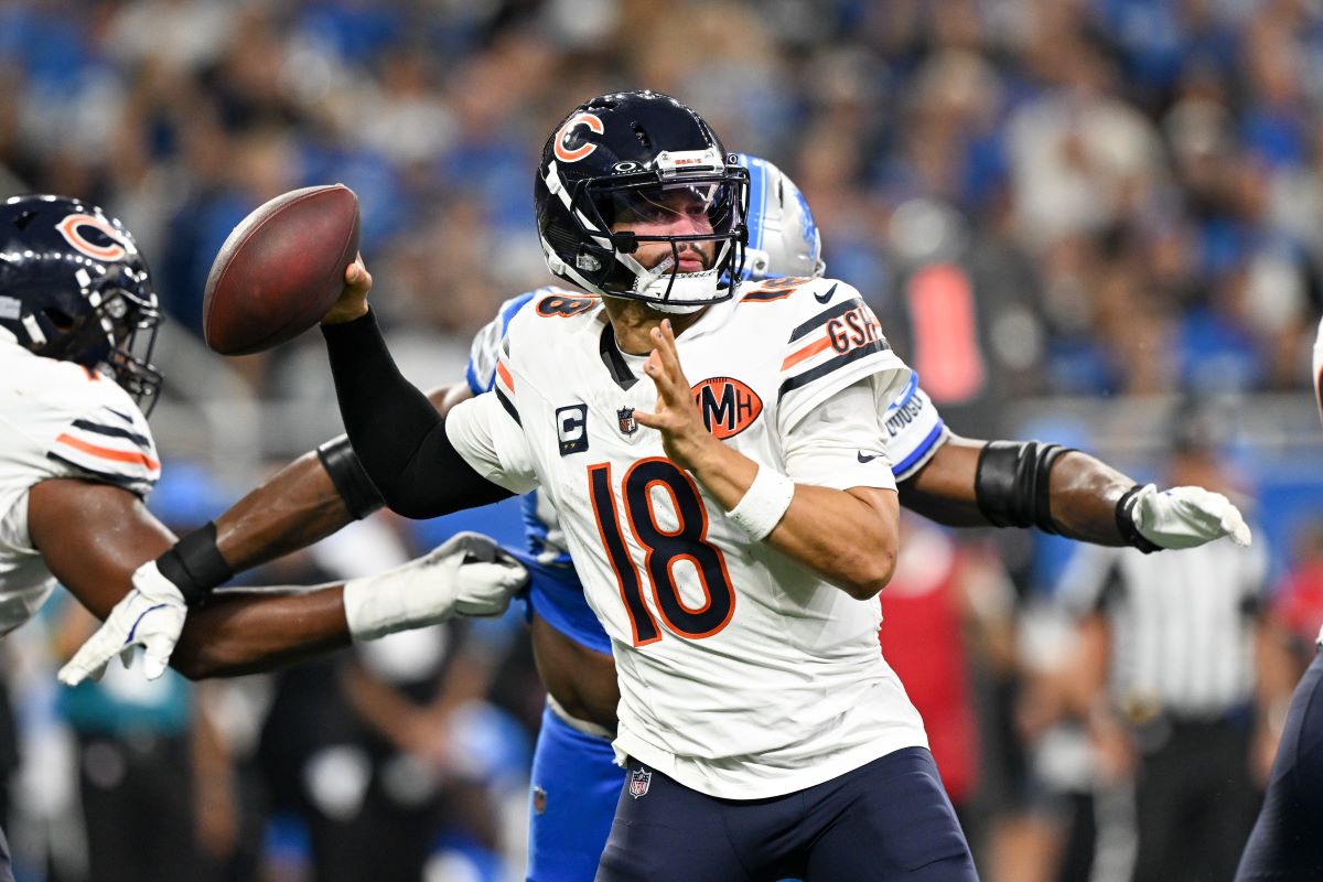 Bears