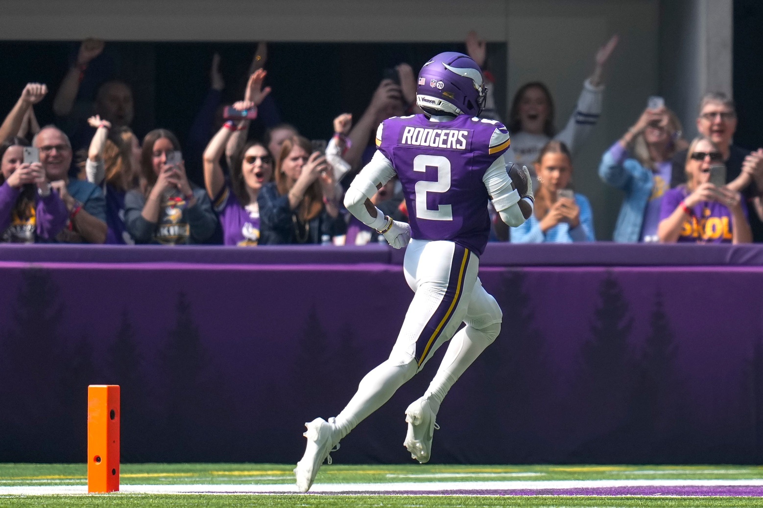 Vikings Bengals