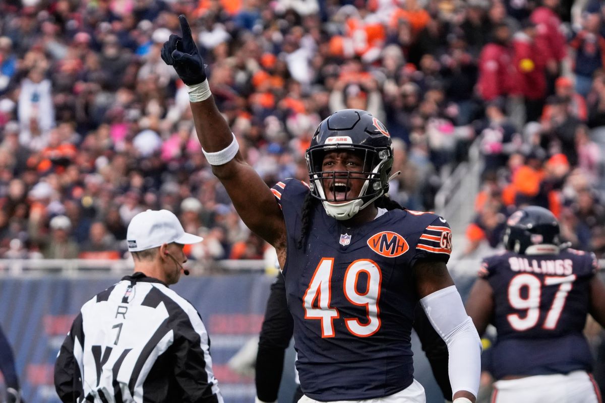 Bears