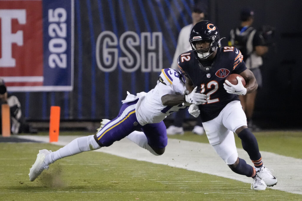 Bears