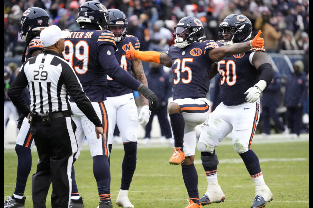 Bears