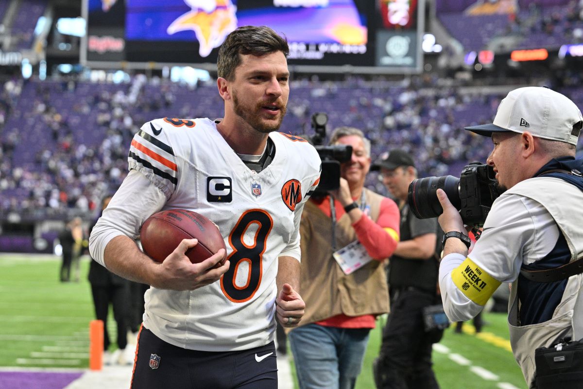 Bears