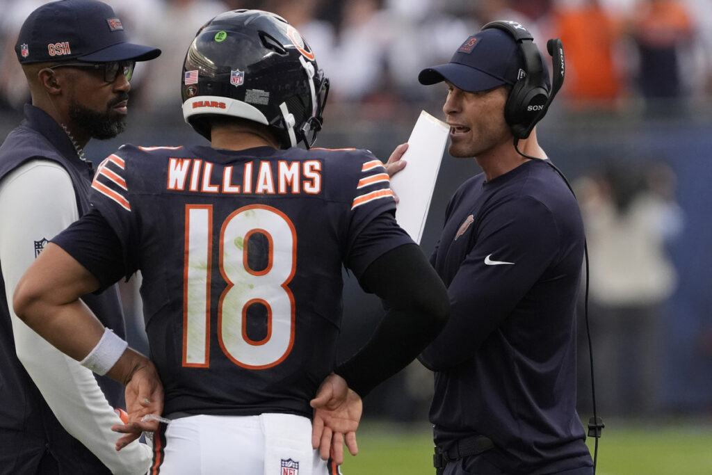 Bears