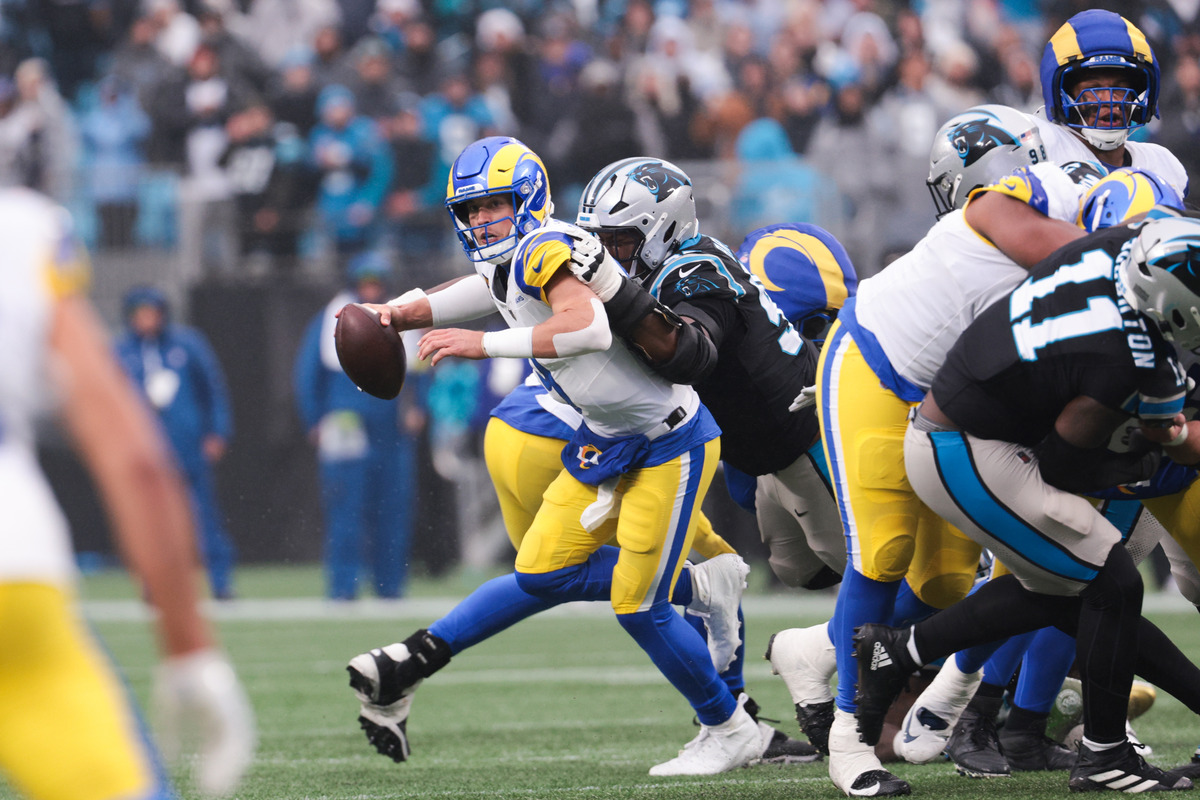 Panthers