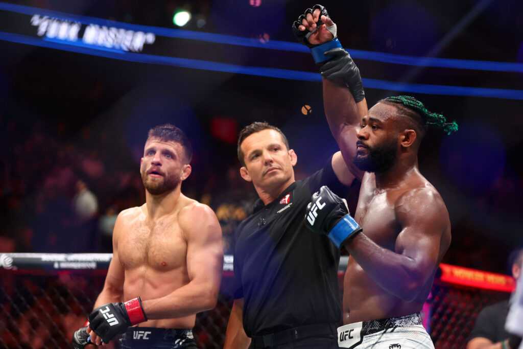 UFC, Featherweight, Aljamain Sterling