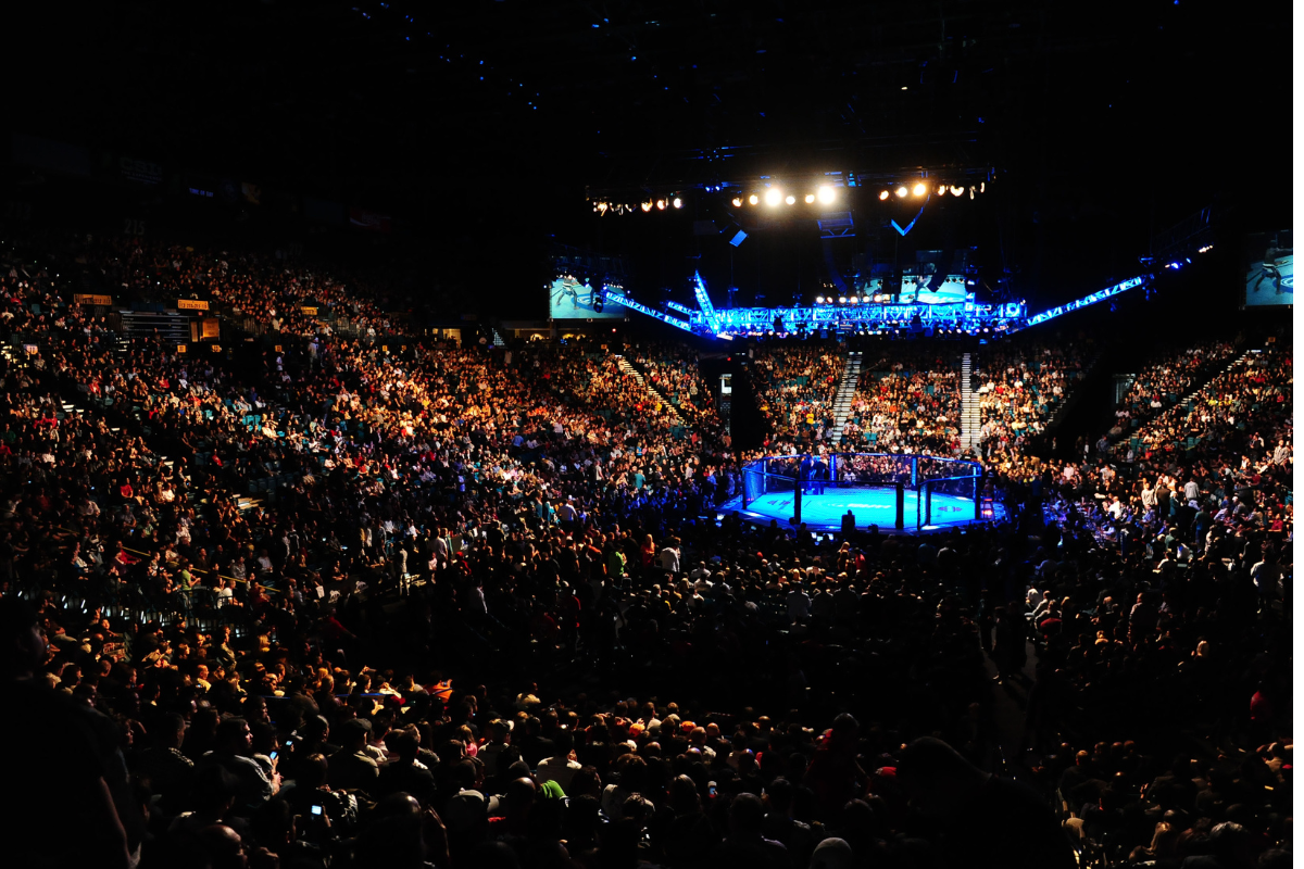Dec 30, 2011; Las Vegas, NV, USA; Overall view of the octagon ring during UFC 141 at the MGM Grand Garden event center in Las Vegas. Mandatory Credit: Mark J. Rebilas-USA TODAY Sports