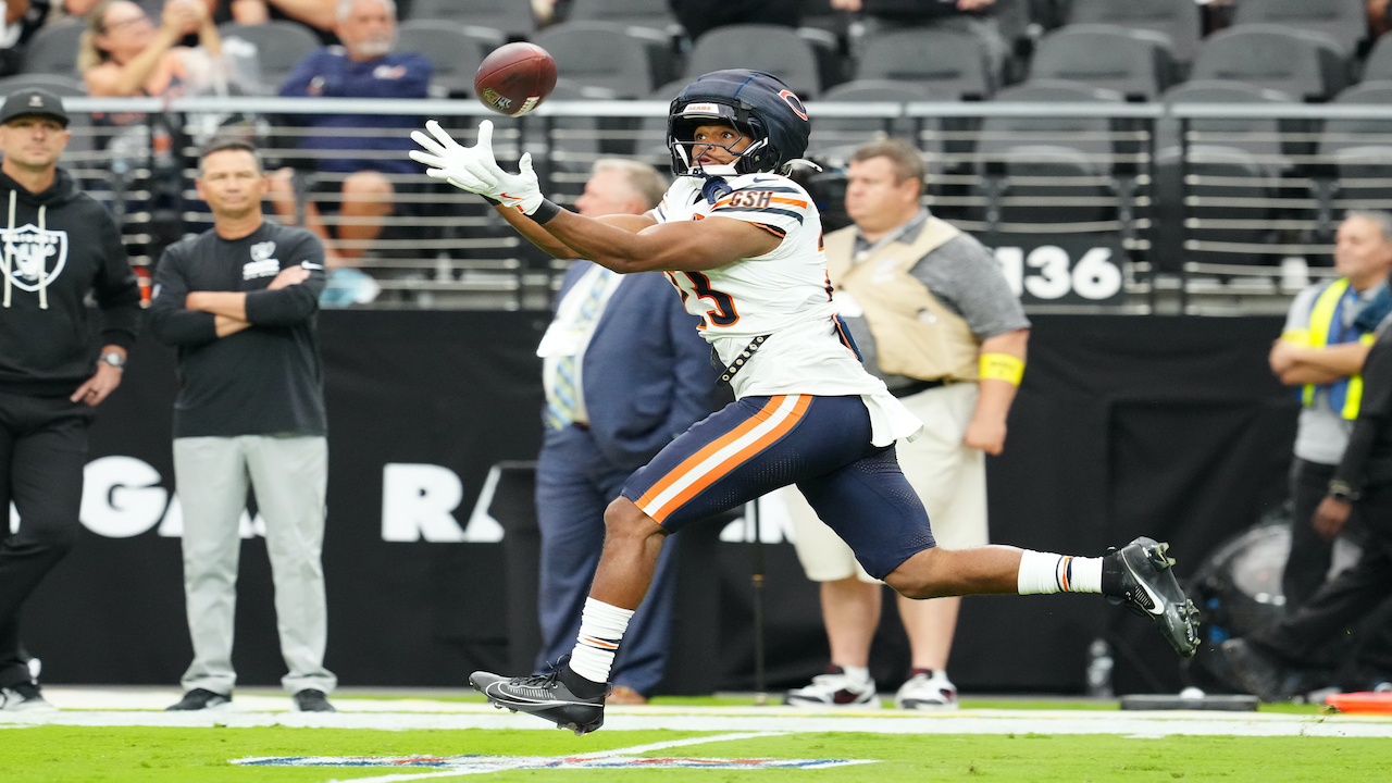 Chicago Bears Roster Bubble 2026