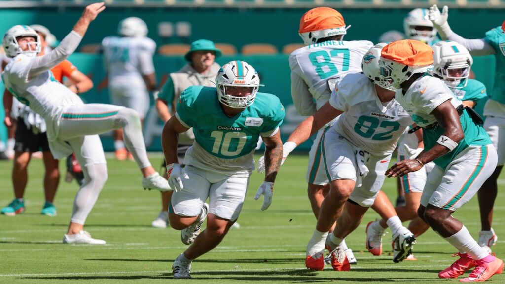 Miami Dolphins 2026