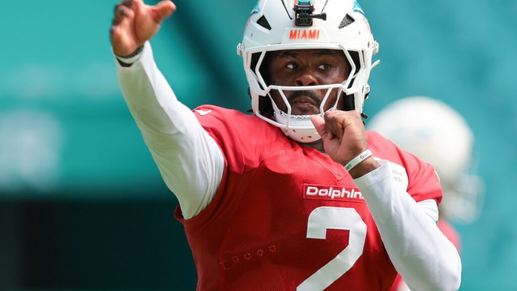 Miami Dolphins 2026